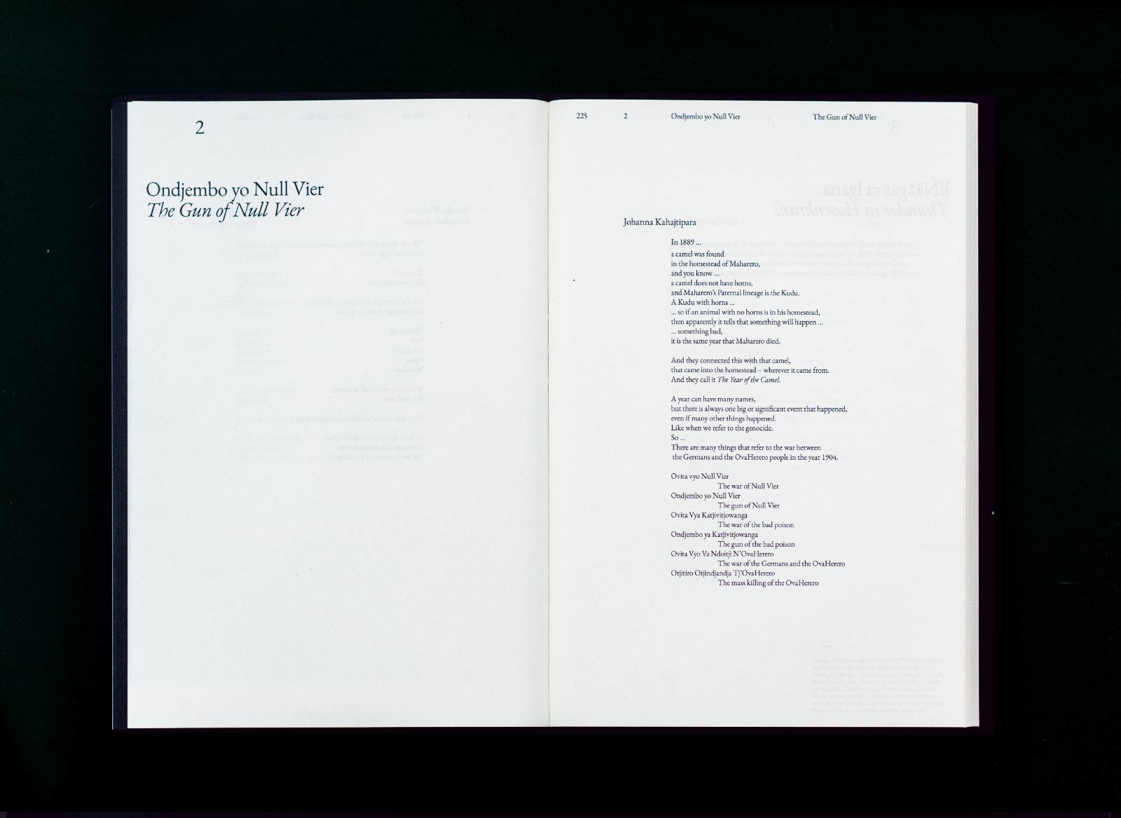 Buchgestaltung, Ansicht von Buch auf Regal – Buch von Ixmucané Aguilar, verlegt bei archive books